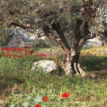 Apartment The Byzantine House 2 *