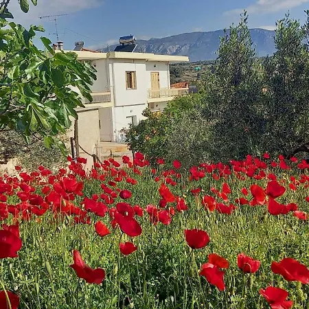 The Byzantine House 2 Ίσθμια