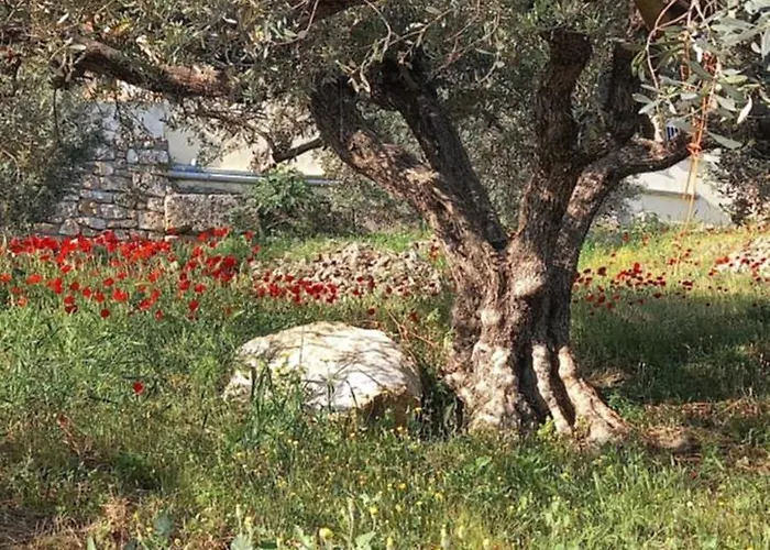 דירה The Byzantine House 2 *