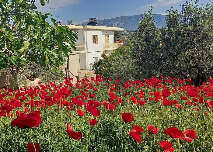 The Byzantine House 2 איסטמיה